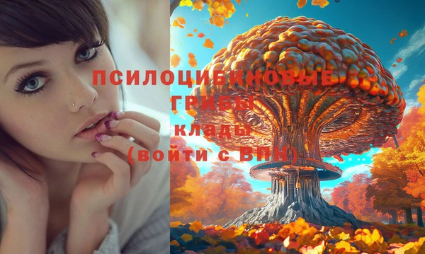 бутират Армянск