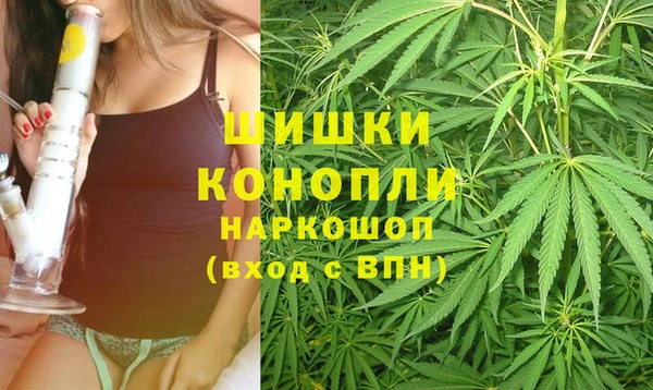 крисы Аркадак