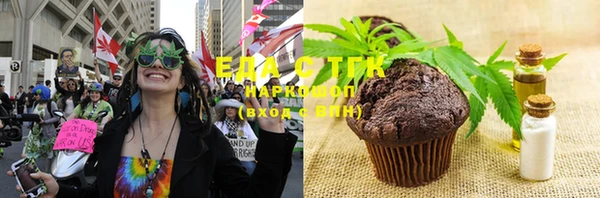 индика Михайлов