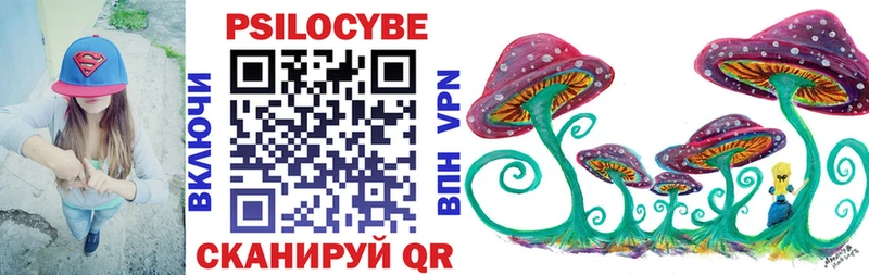 Галлюциногенные грибы Psilocybine cubensis Глазов
